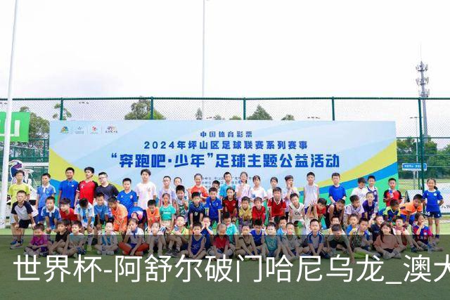 世界杯-阿舒尔破门哈尼乌龙 澳大利亚1-1埃及进点球